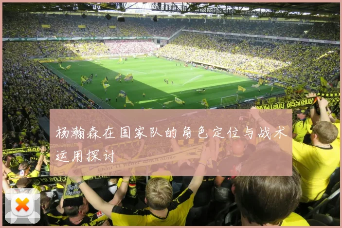 杨瀚森在国家队的角色定位与战术运用探讨