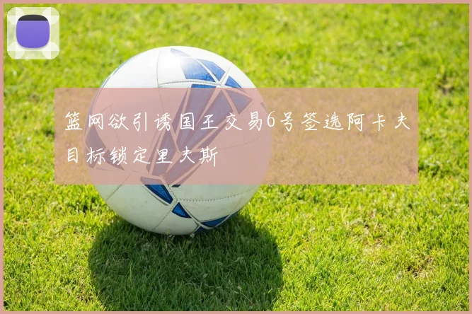 篮网欲引诱国王交易6号签选阿卡夫目标锁定里夫斯